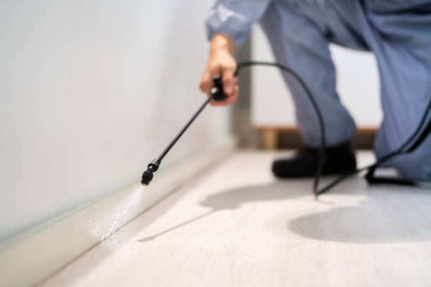 Licensed Termite Control service in Croom, MD - Nex Pest Control