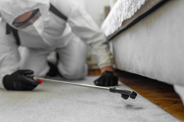 Professional Termite Control technician working in Croom, MD