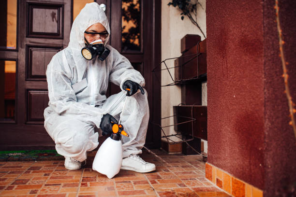 Reliable Termite Control contractor in Croom, MD by Nex Pest Control
