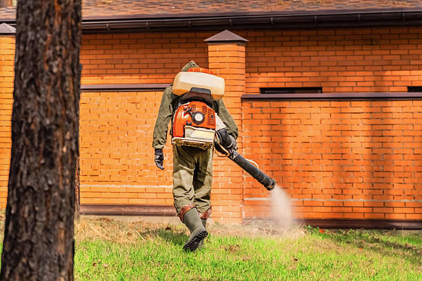 Trusted Termite Control service in Croom, MD - Nex Pest Control